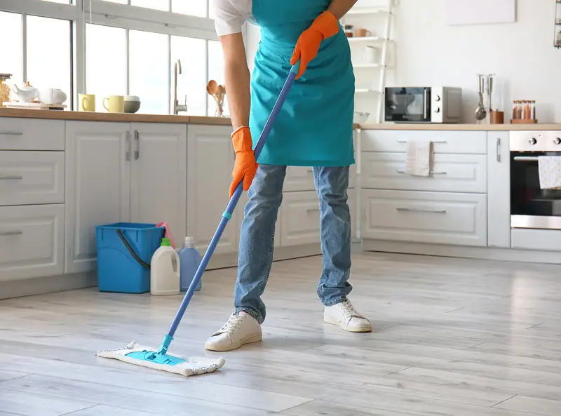 nova plus international trading