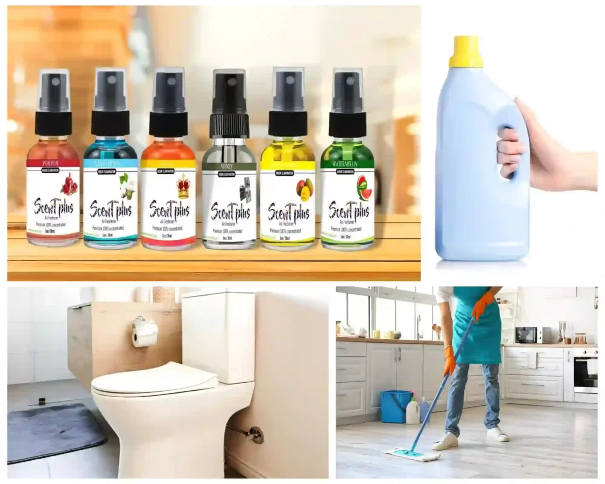 nova plus international trading