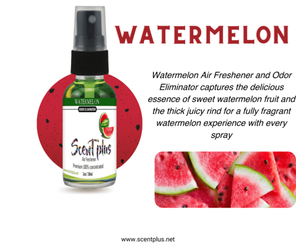 Watermelon - Image 2