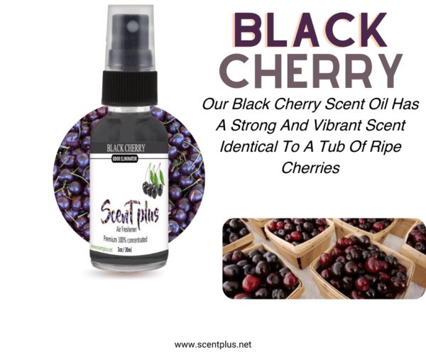 Black Cherry - Image 2