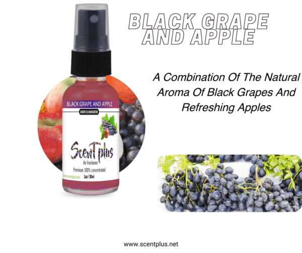 Black Grape And Apple - Image 2