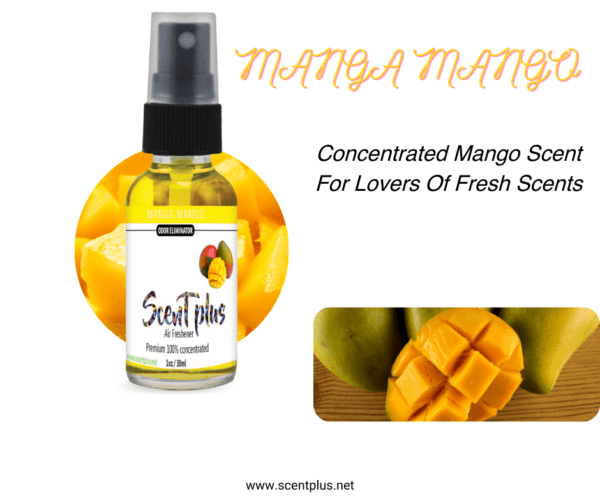 Manga Mango - Image 2