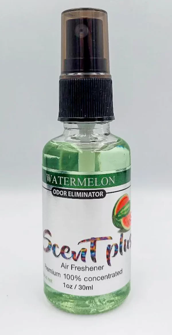 Watermelon - Image 3